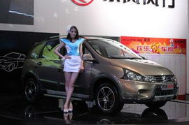 剑指2012 风行汽车广州新车亮相，引领市场新风向